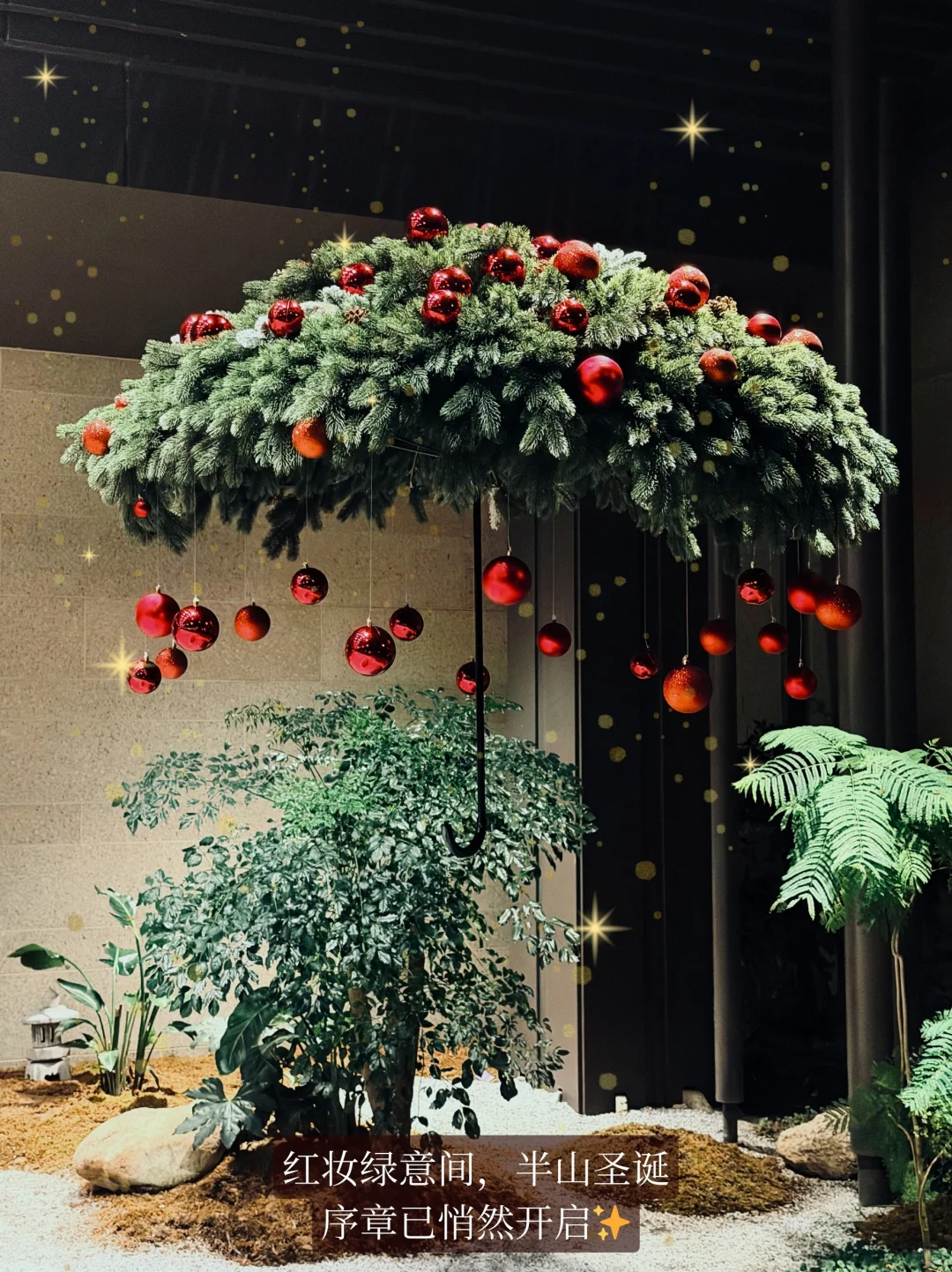 舟山圣诞氛围已加载99%🎅配超顶漂亮饭绝了