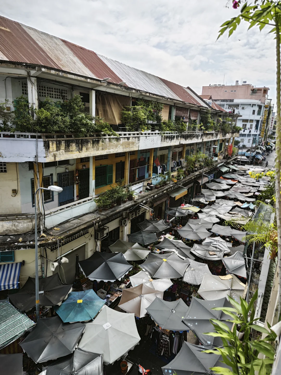 在五郡吃早茶喝咖啡看大爷炒豆子