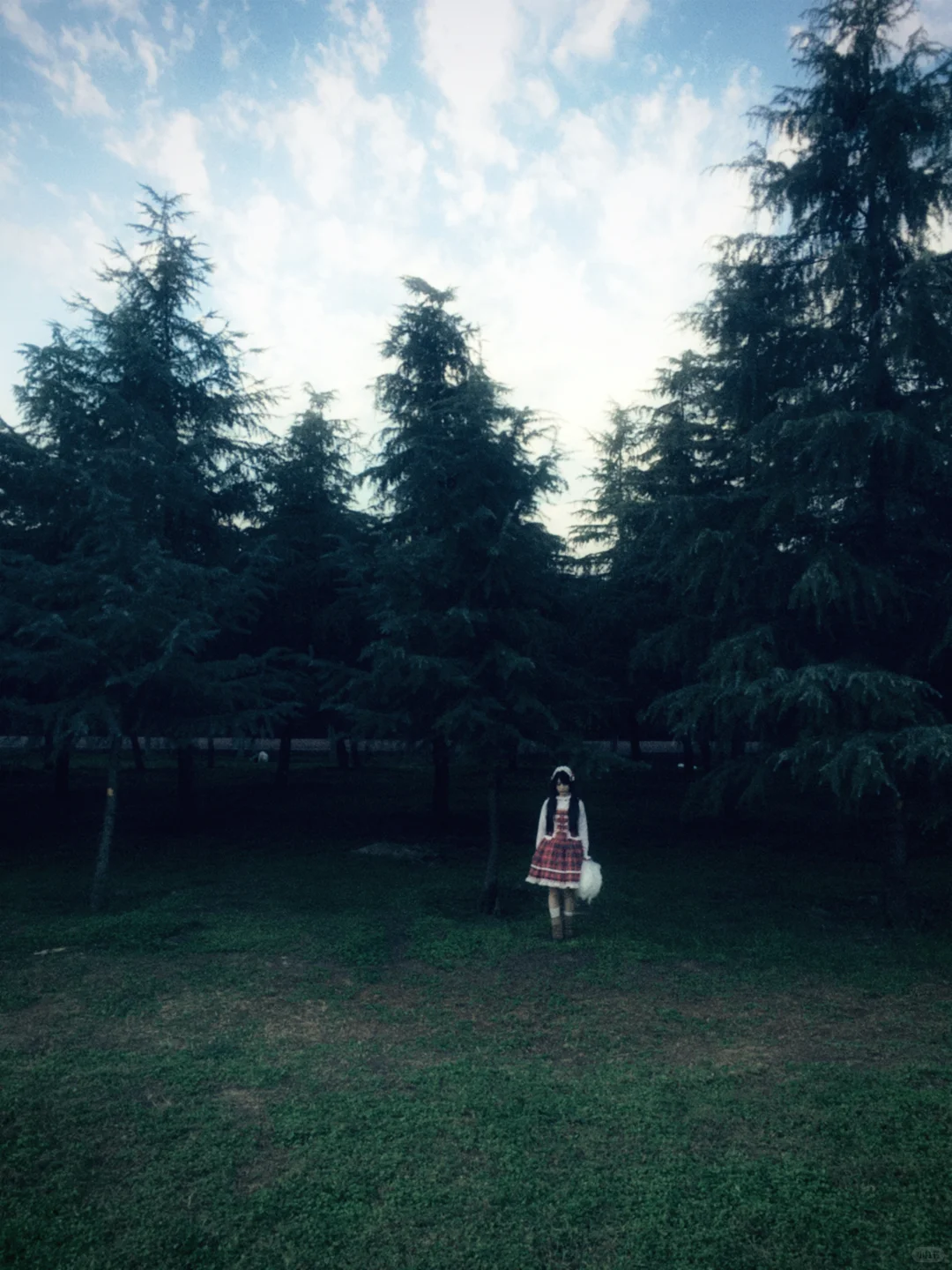 6s的氛围感｜在森林里