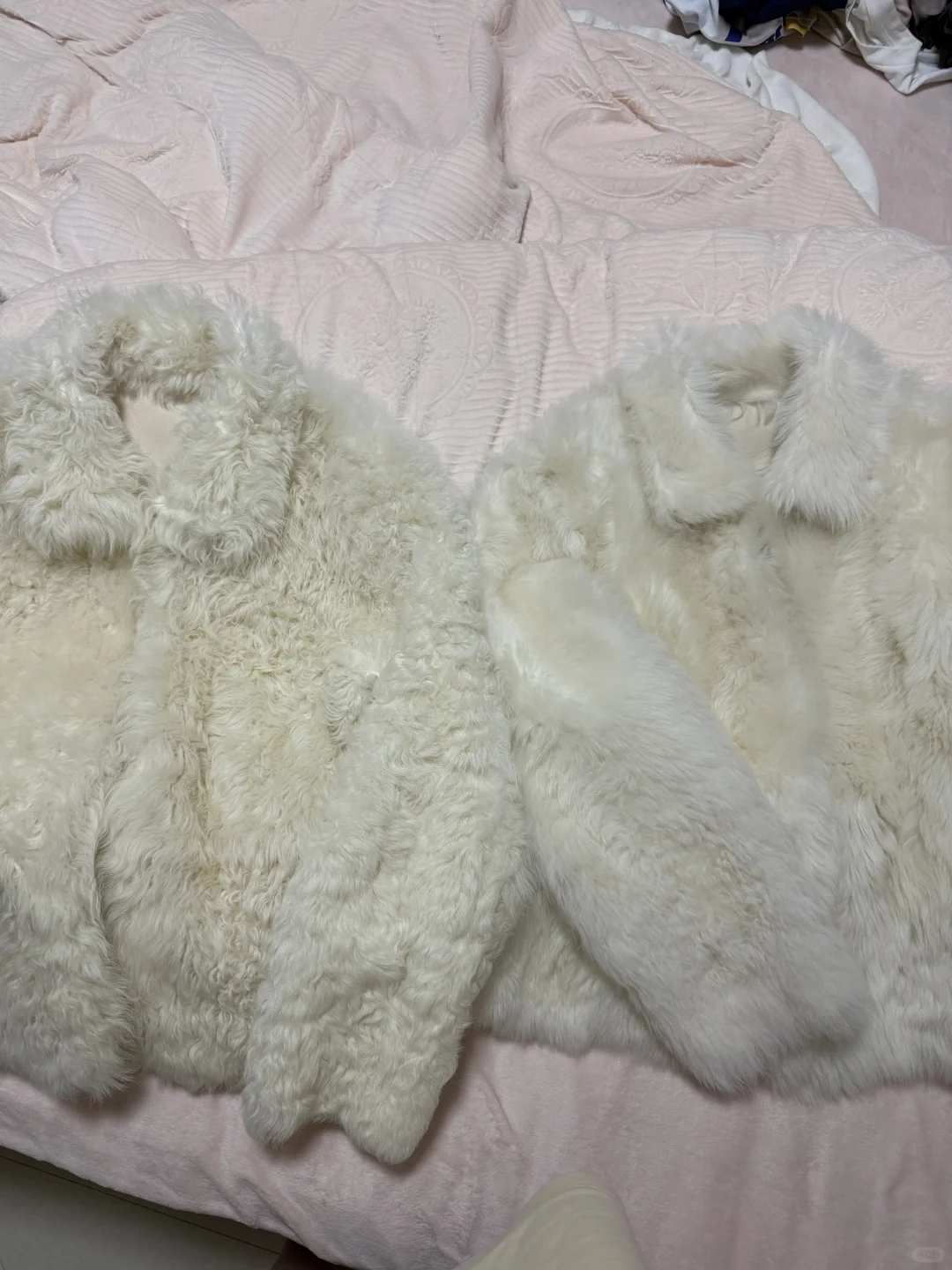 付智恩 冰岛铃音怎么选！！