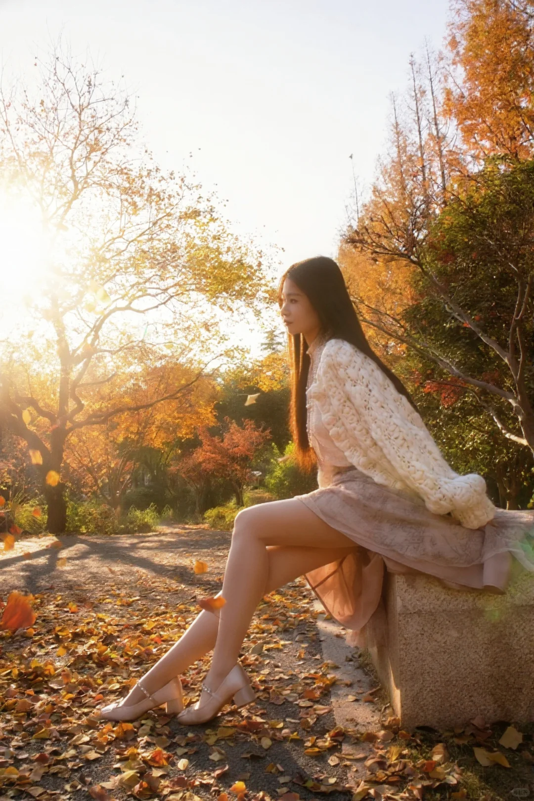 请你看过秋天的落叶🍂还有琉光