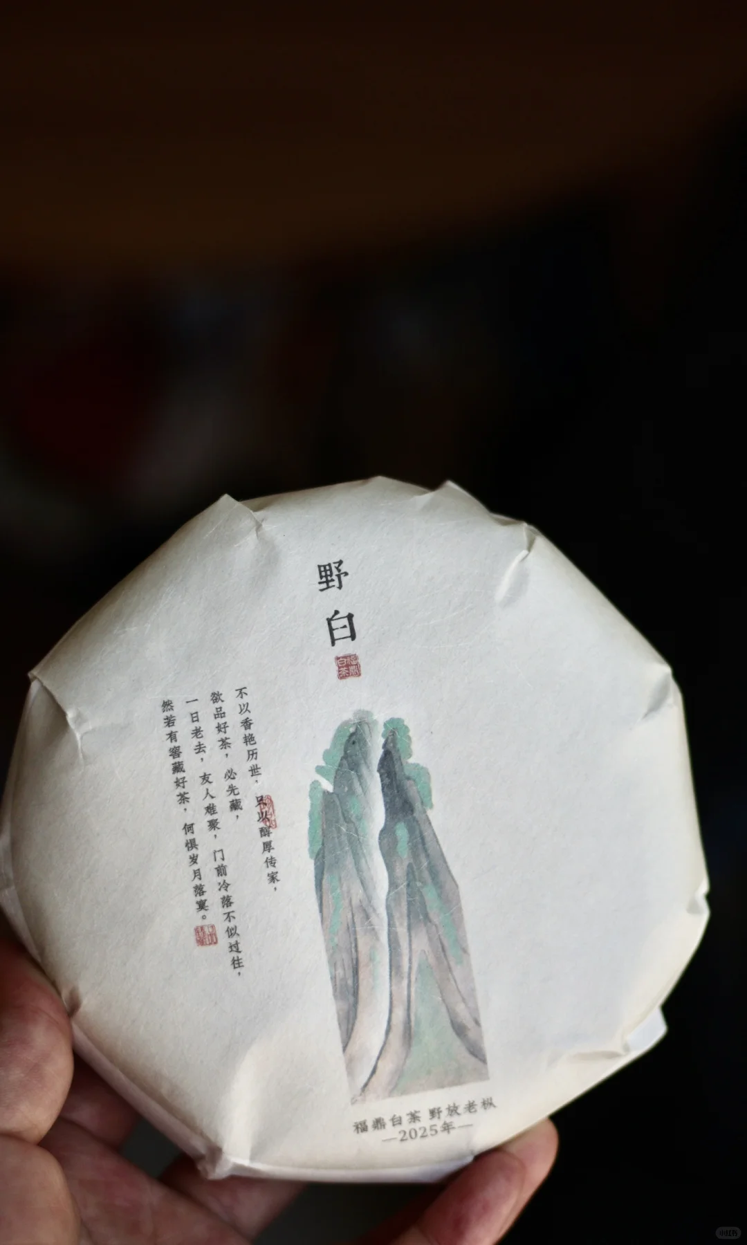 福鼎白茶 | 野白🍃❤️寿眉