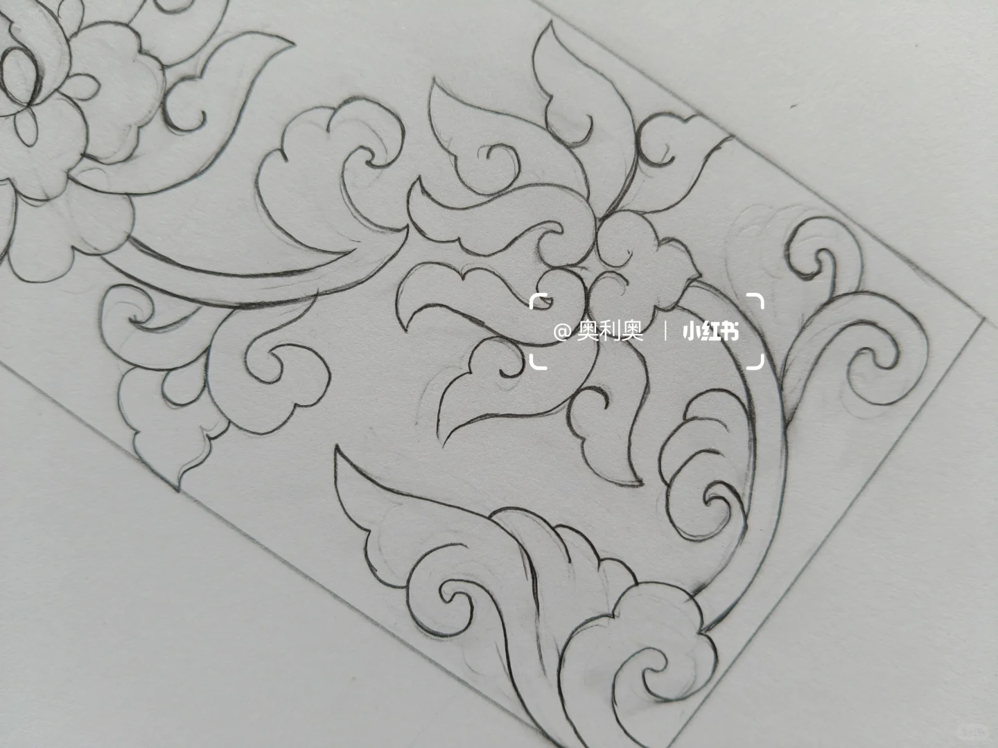 牡丹与蝴蝶 | 国风图案的梦幻联动🦋🌸