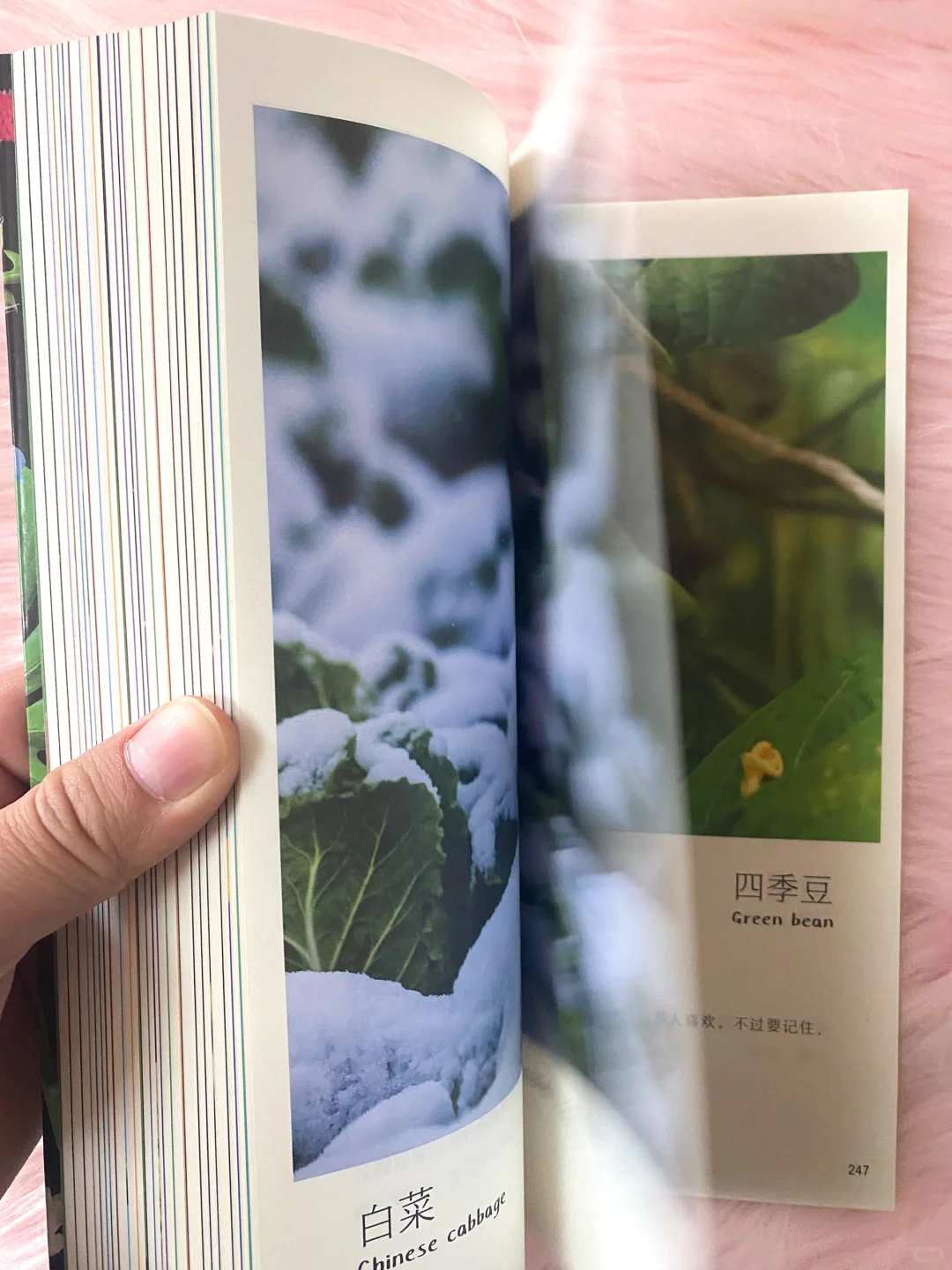 60w妈妈认可的作品续集，让孩子喜欢上科普！