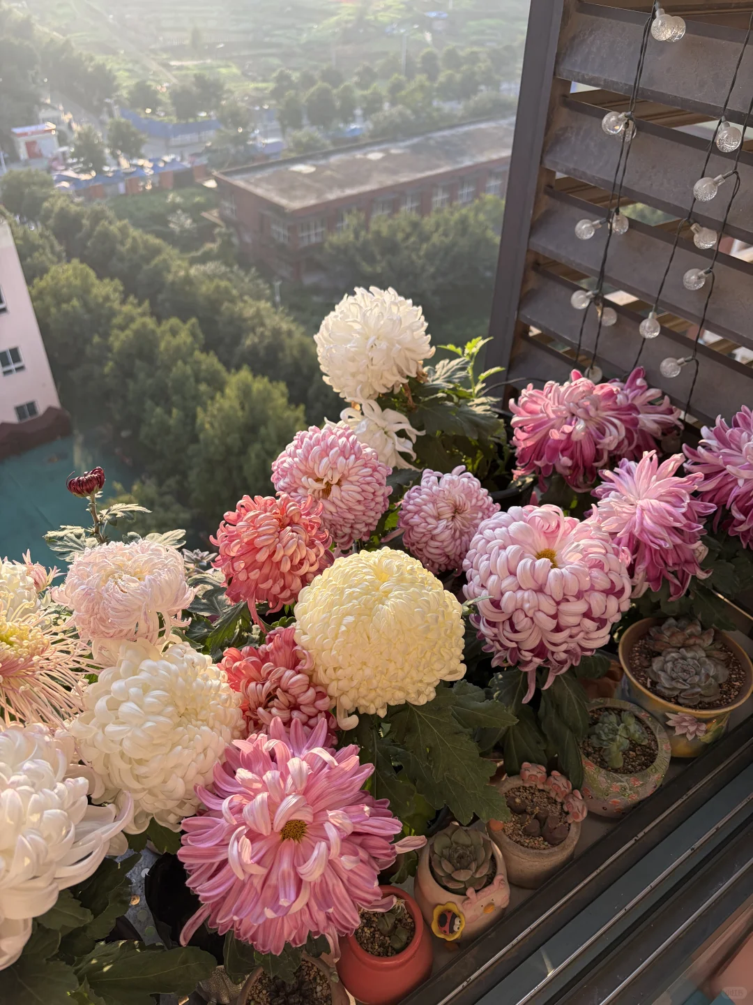 日出拍出了日落的感觉