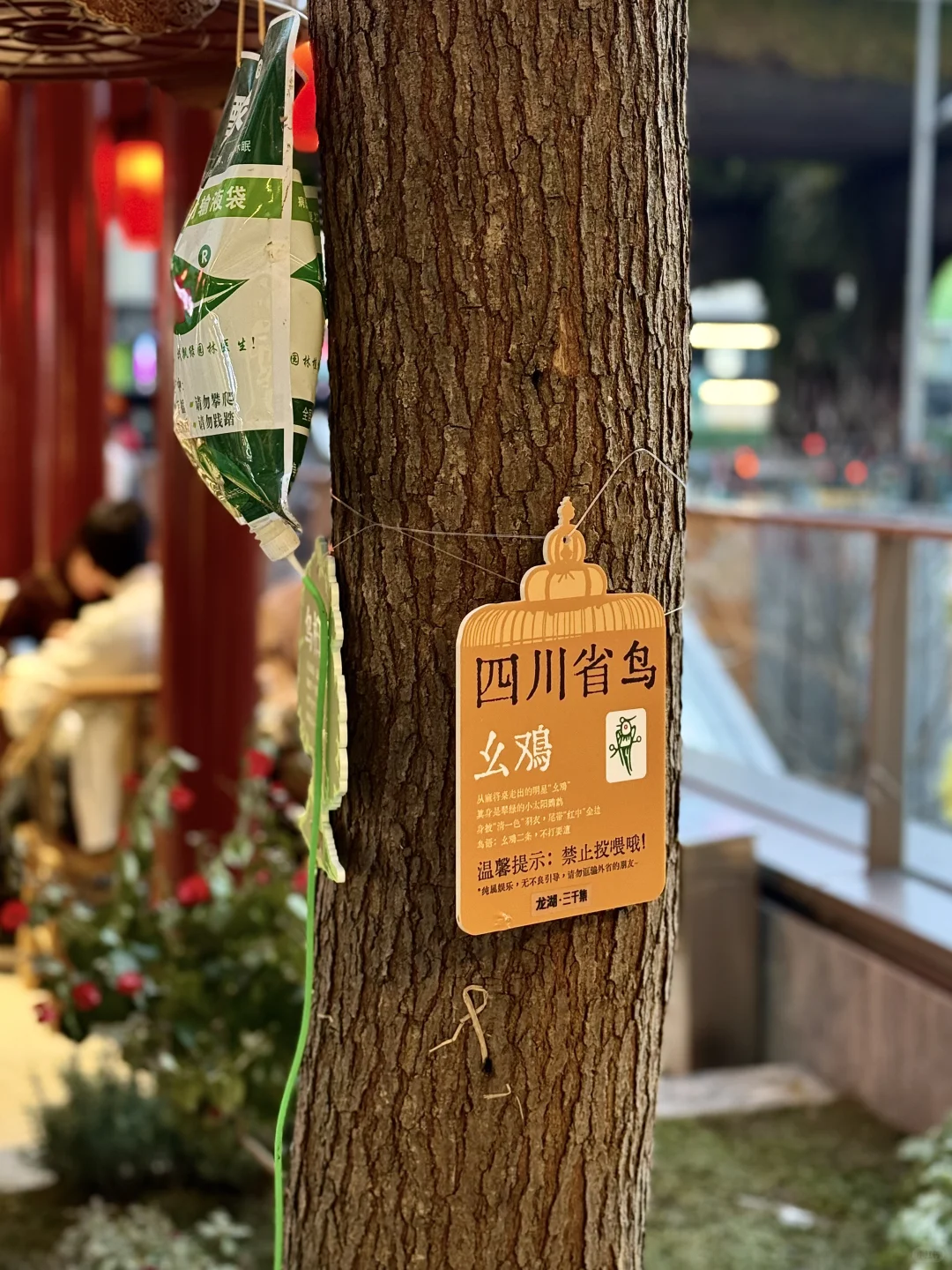 四川人真的有点神……