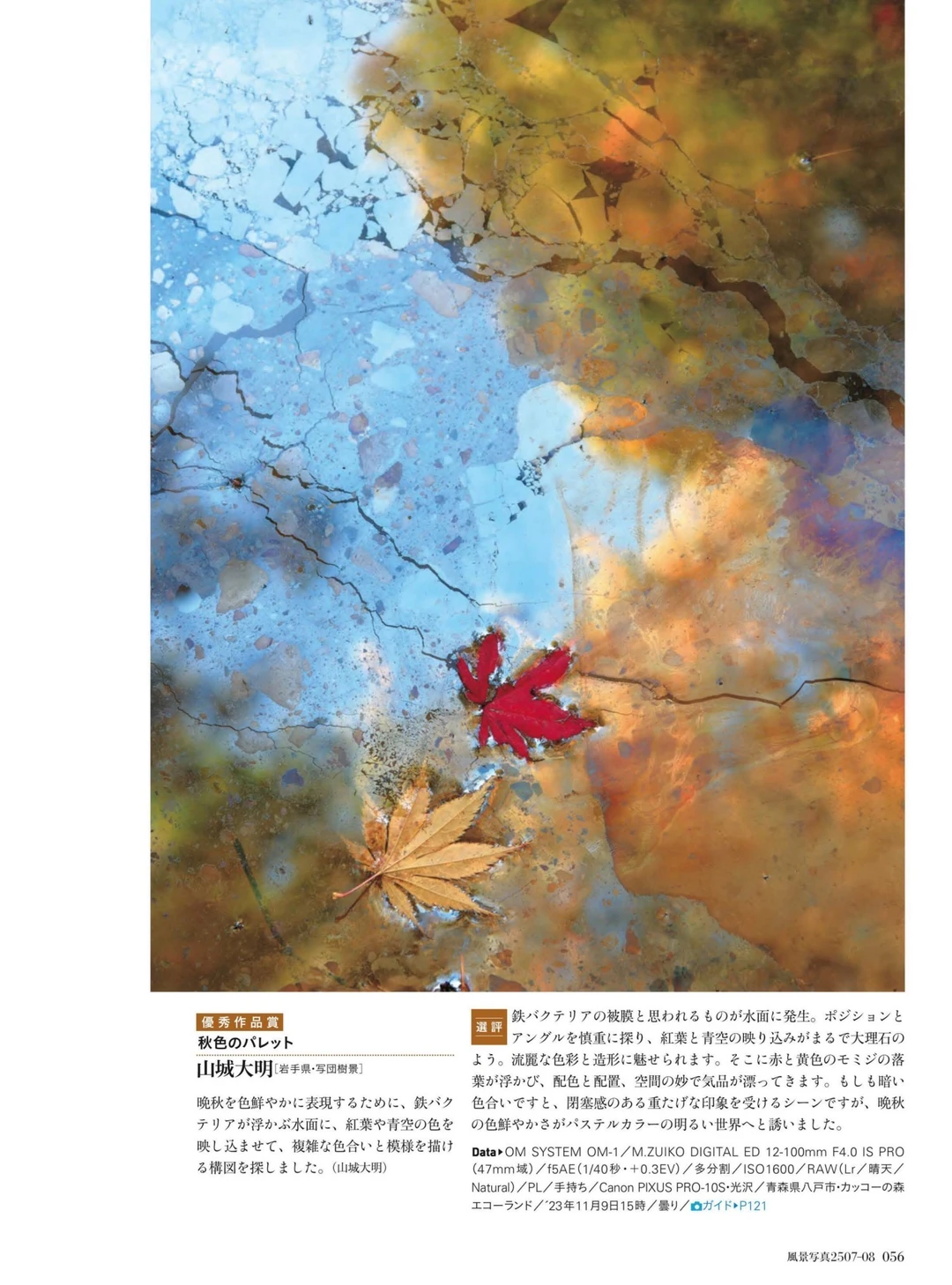 风景写真 25年7&8月刊