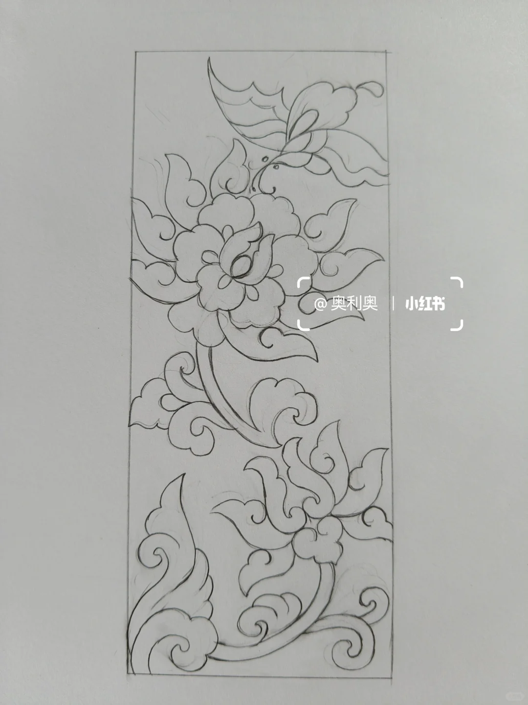 牡丹与蝴蝶 | 国风图案的梦幻联动🦋🌸