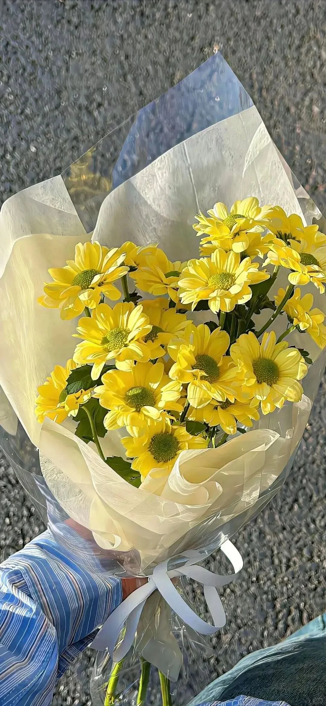 小众又高级的壁纸来啦！🌼