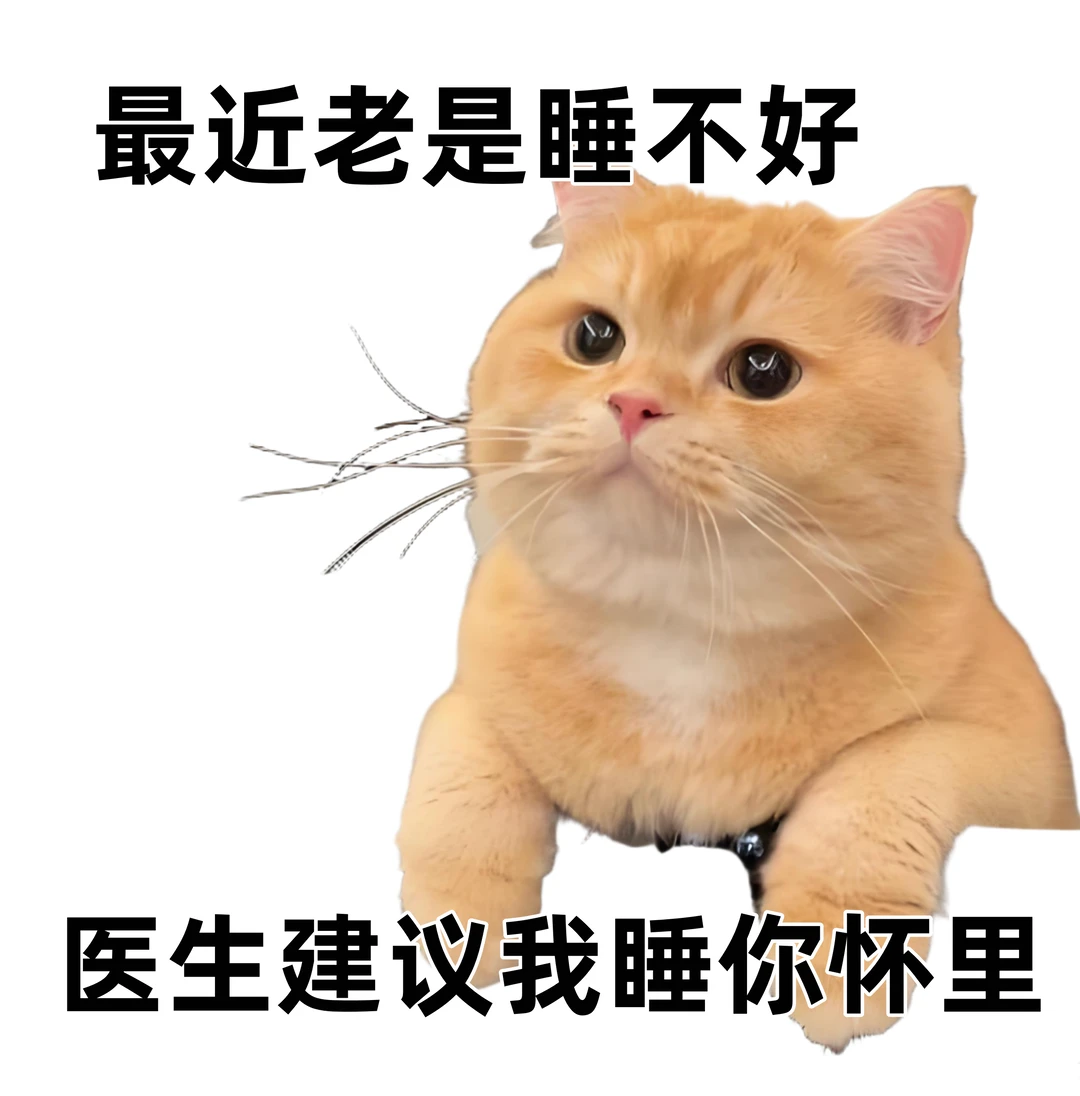 表情包丨句句不黄，句句很撩