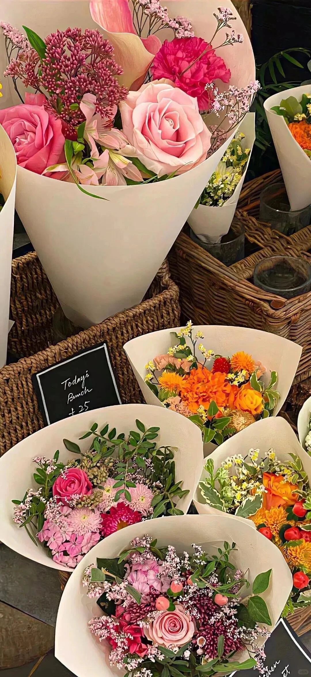 能量壁纸｜🌹如火夏日与娇艳的玫瑰更配哦🔥