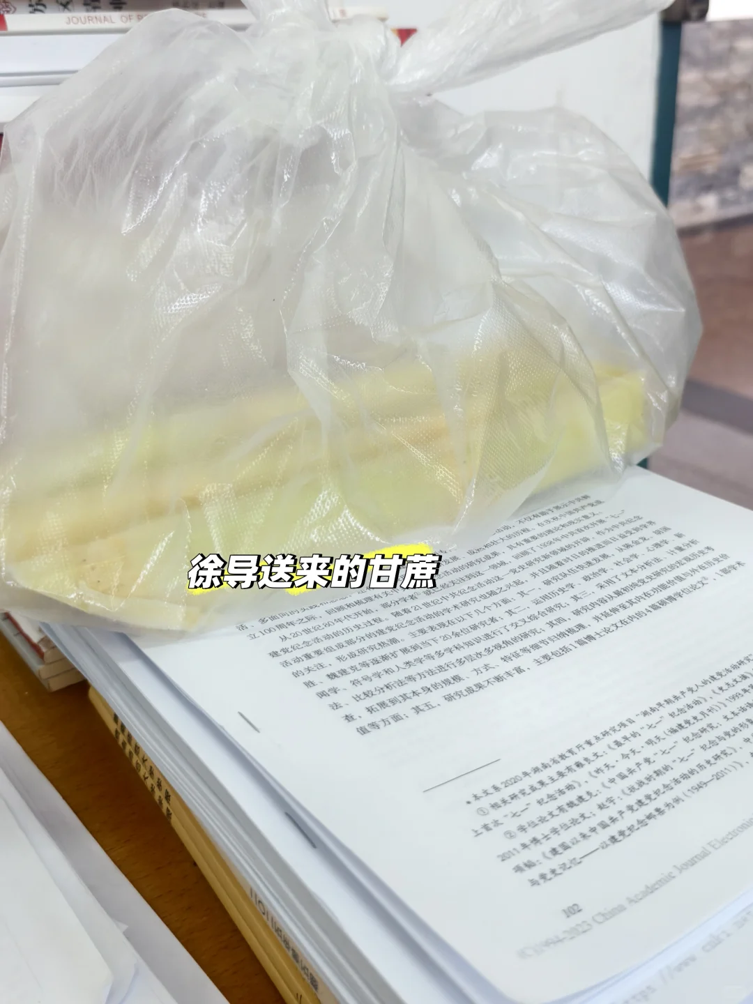 蛋挞脑袋请进～