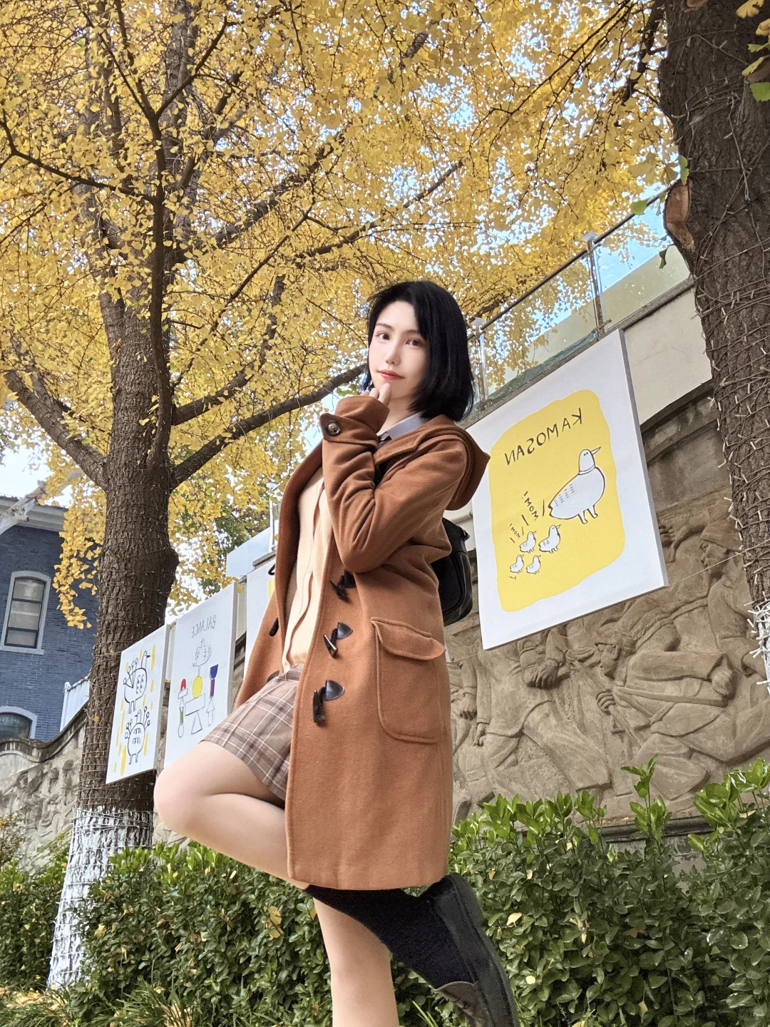 190|一叶知秋🍁