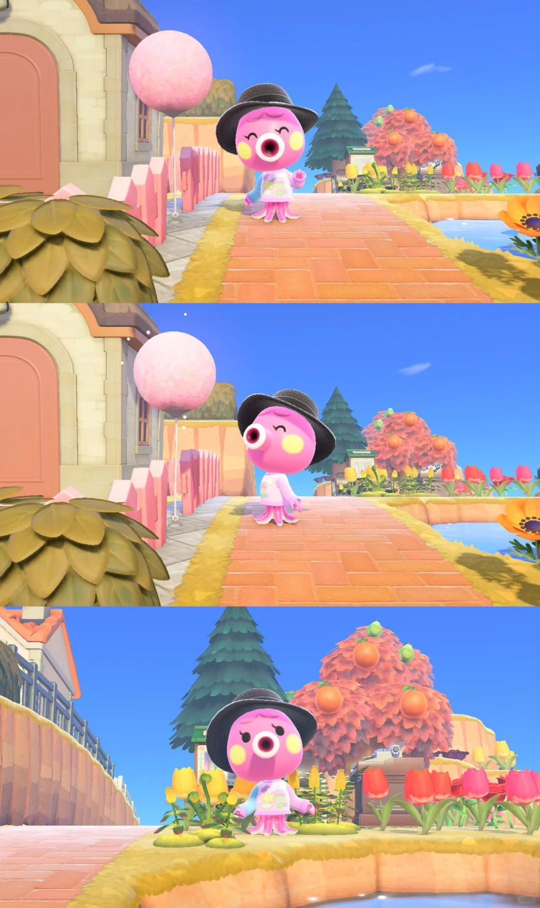 岛民合影✌︎' ֊'大概会是永久住民