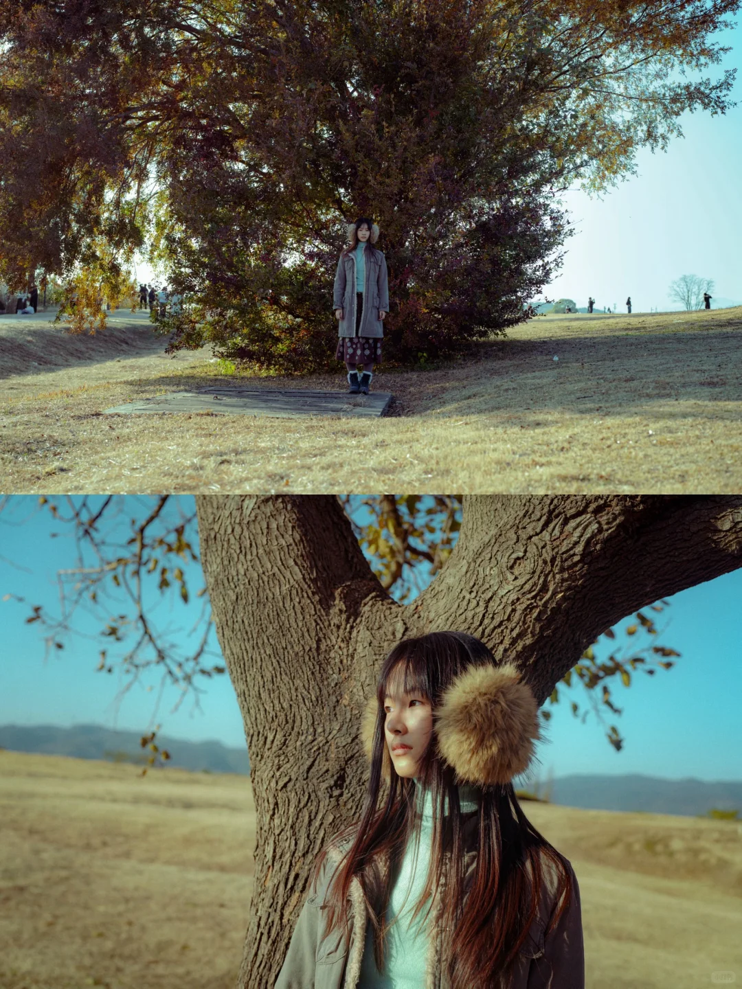 当我把照片按苍井优旅行写真排版