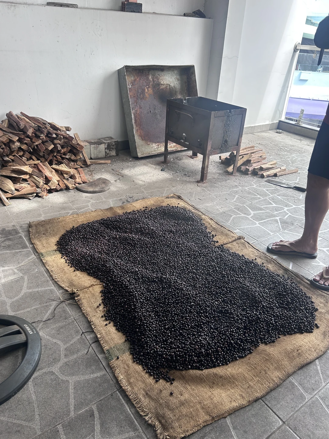 在五郡吃早茶喝咖啡看大爷炒豆子