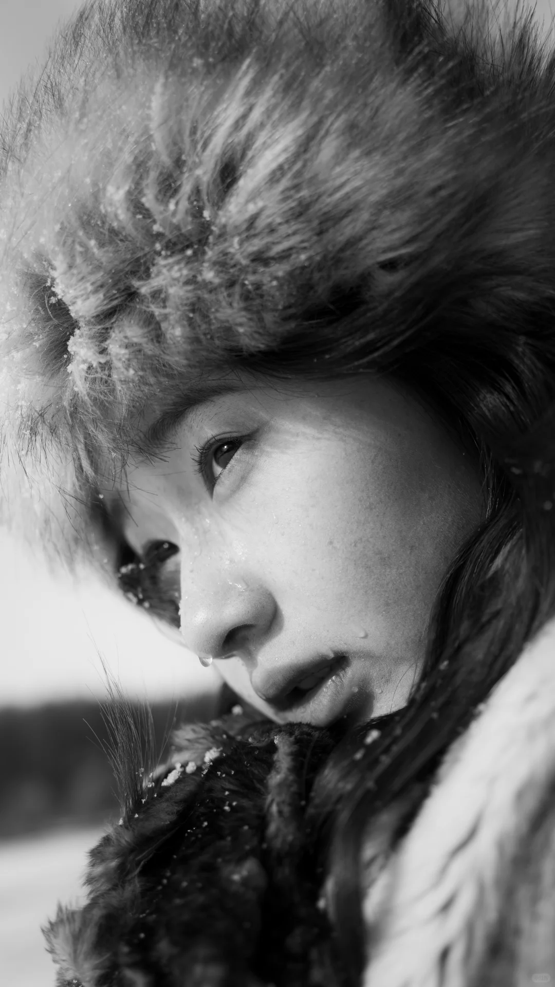 全屏观看我的冬日写真集