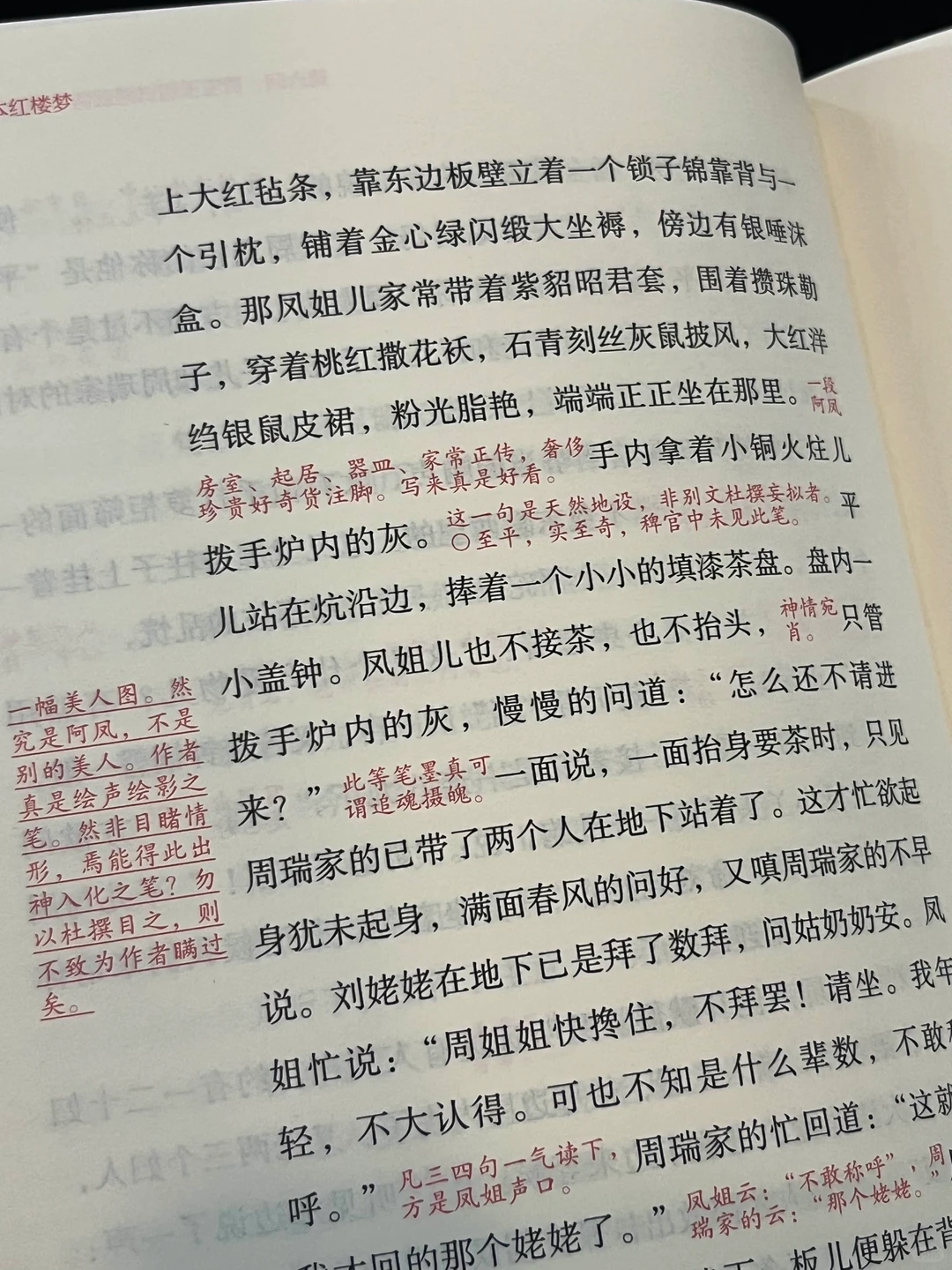 巨巨巨惊艳❗️我愿称之为红楼梦的天花板❗️