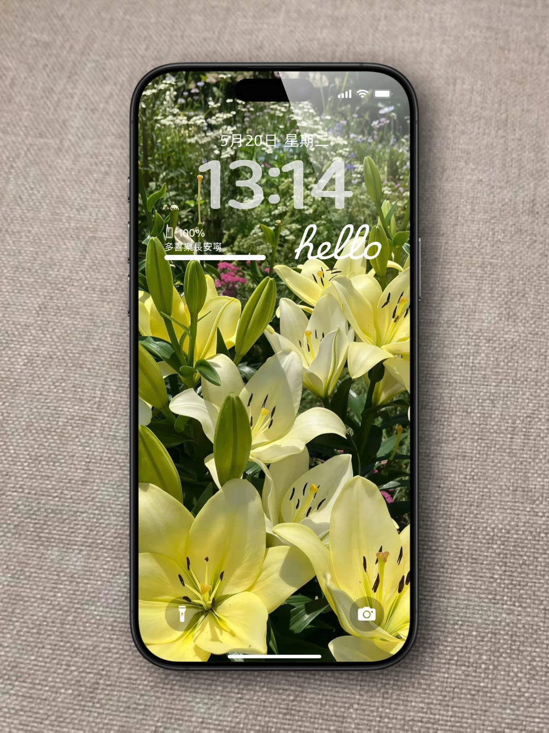 小众又高级的壁纸来啦！🌼