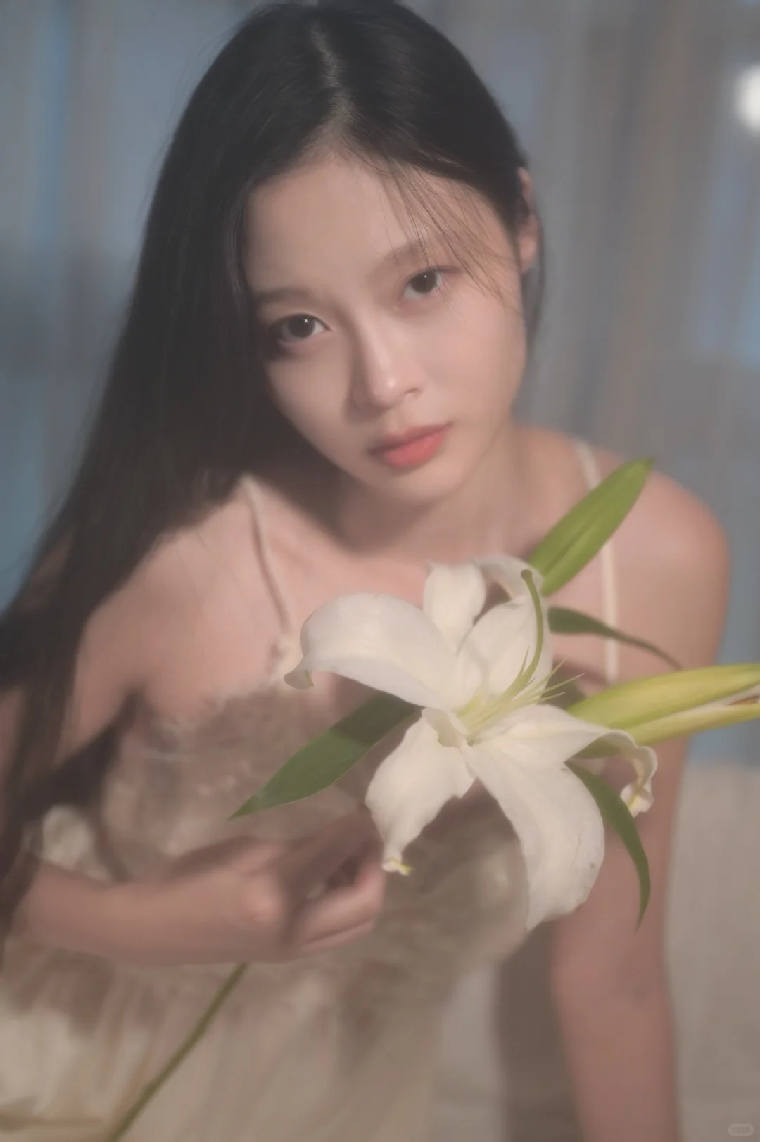 藏在柔雾里的心动瞬间