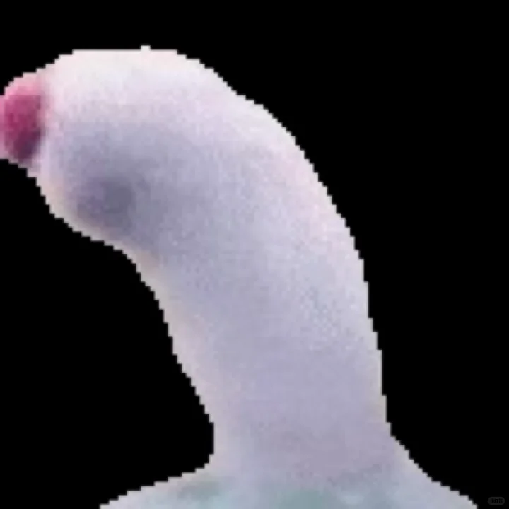 快拿去调戏你的npy！哈哈哈