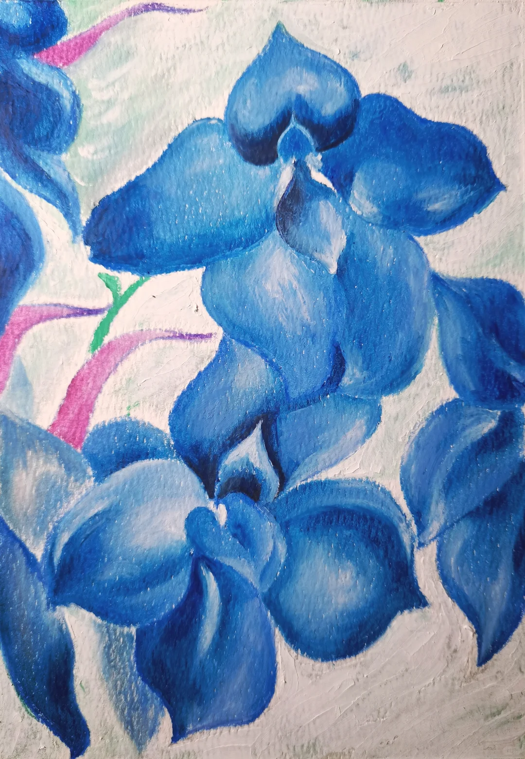 油画棒 | 娇艳蝴蝶兰