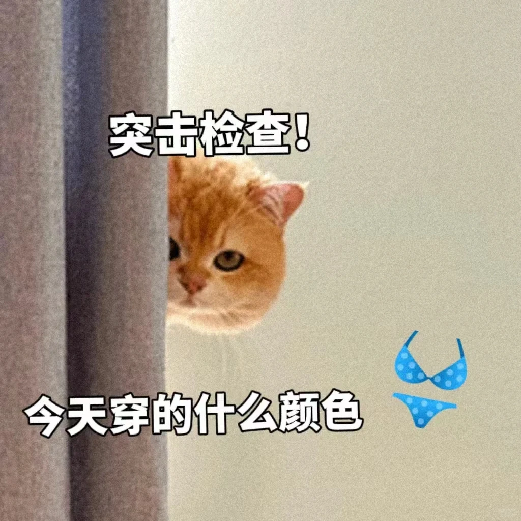 01期 情侣污污表情包