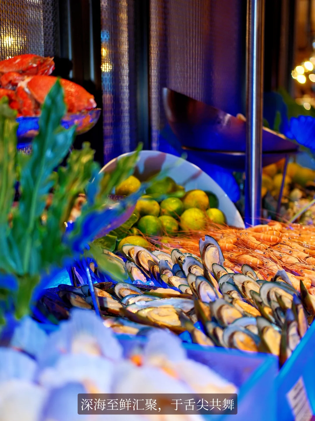 舟山圣诞氛围已加载99%🎅配超顶漂亮饭绝了