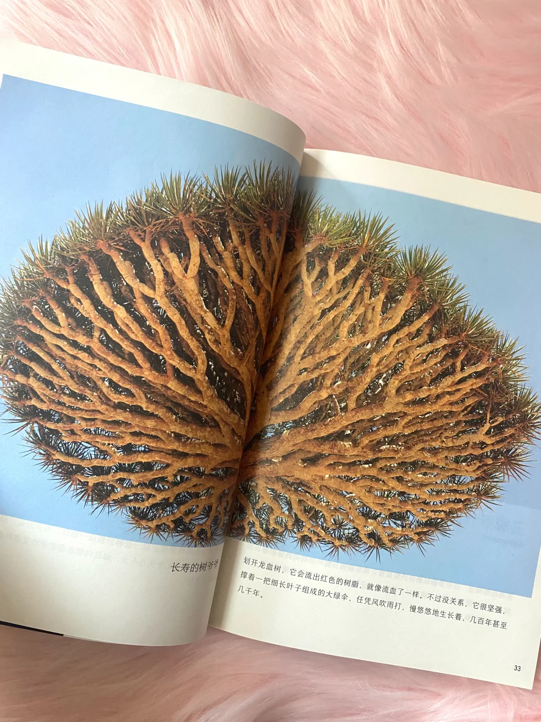 60w妈妈认可的作品续集，让孩子喜欢上科普！