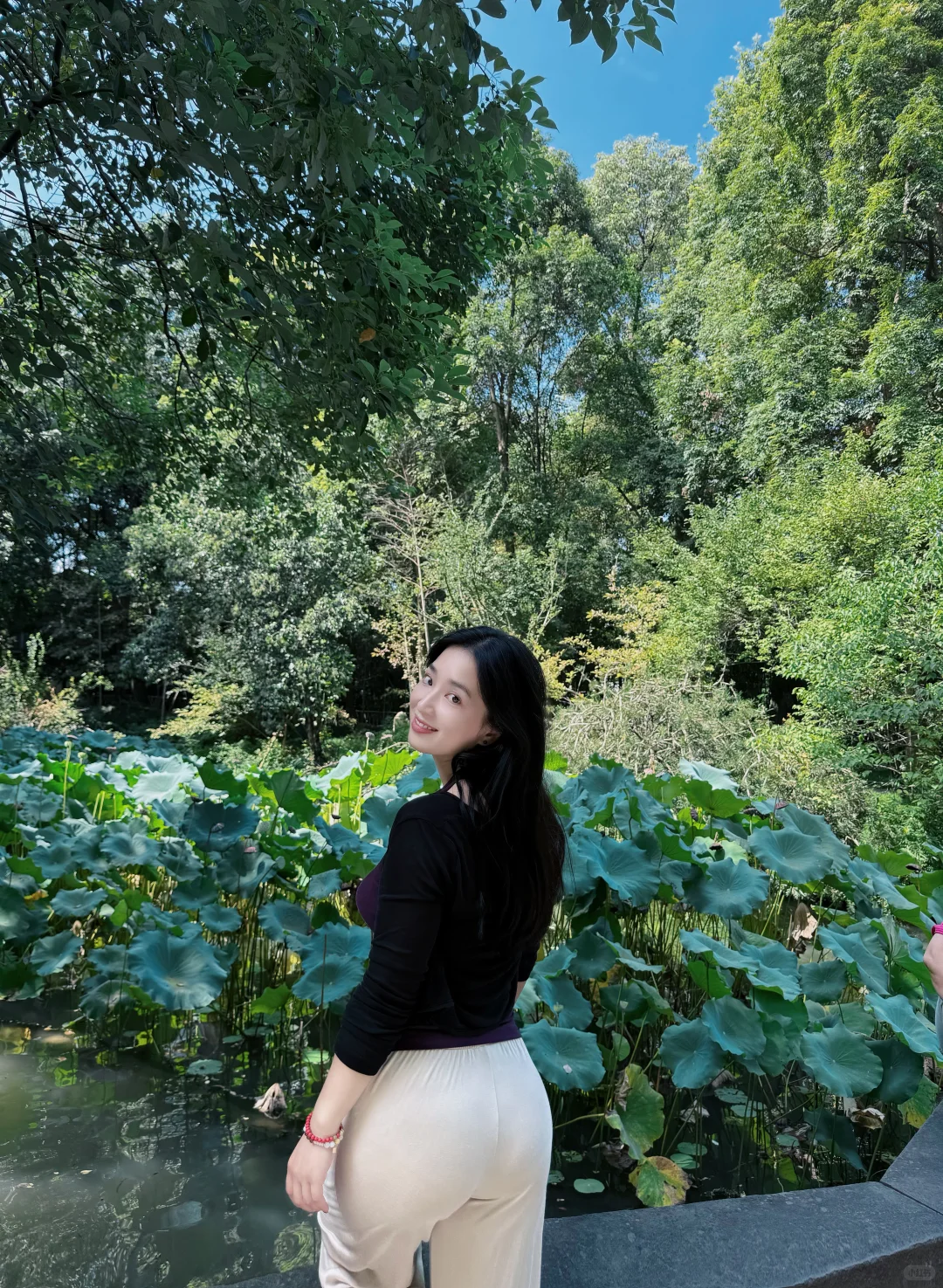 秋天的荷花，好美