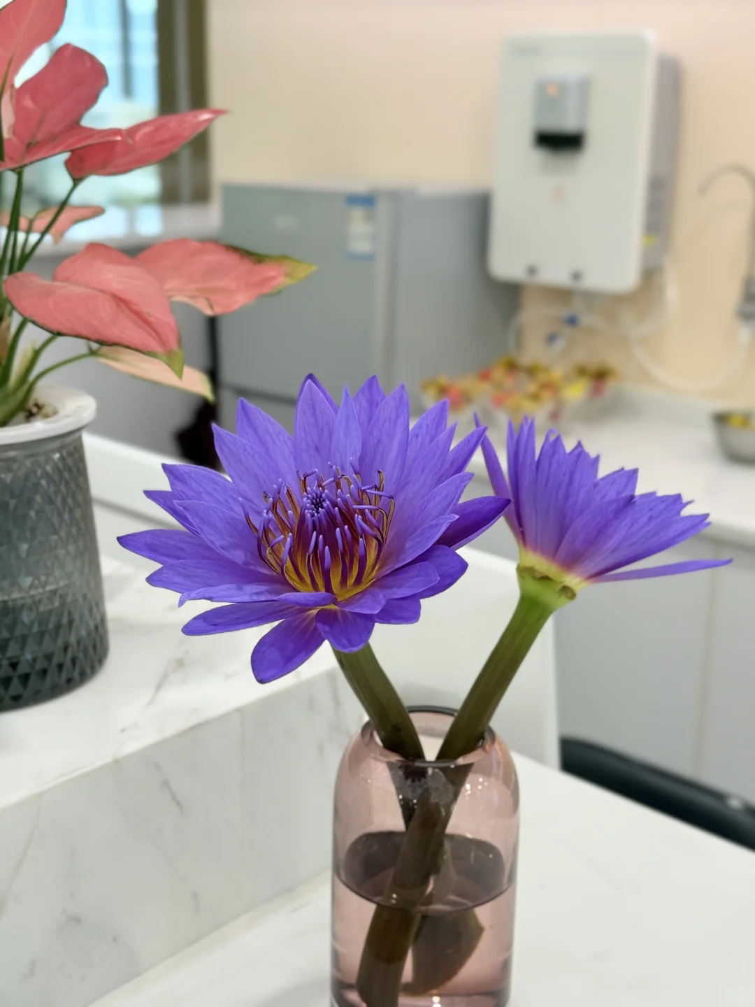 前台的花🌸今天的微笑担当