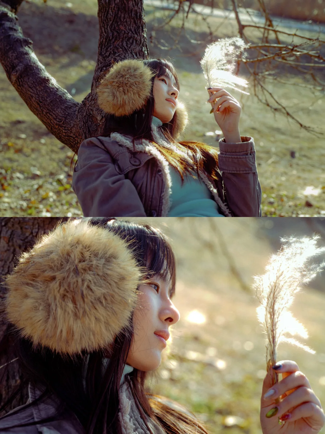 当我把照片按苍井优旅行写真排版