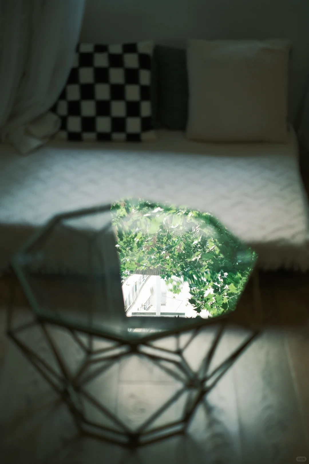 做我的猫 🐈｜上海轻私房写真