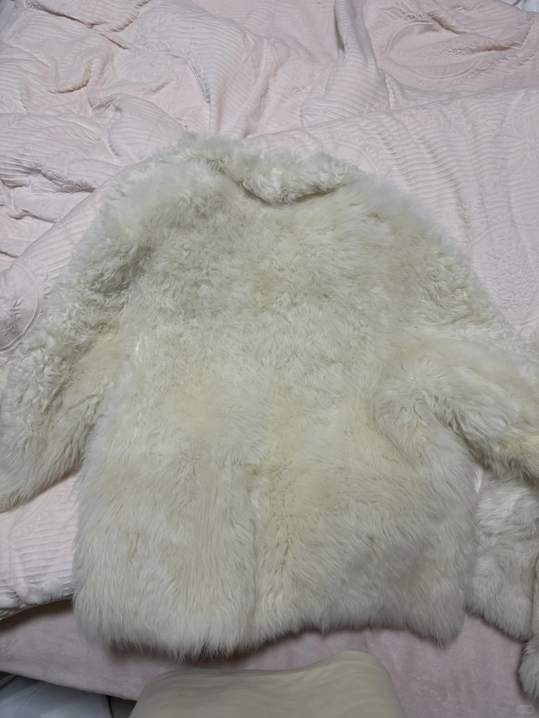 付智恩 冰岛铃音怎么选！！