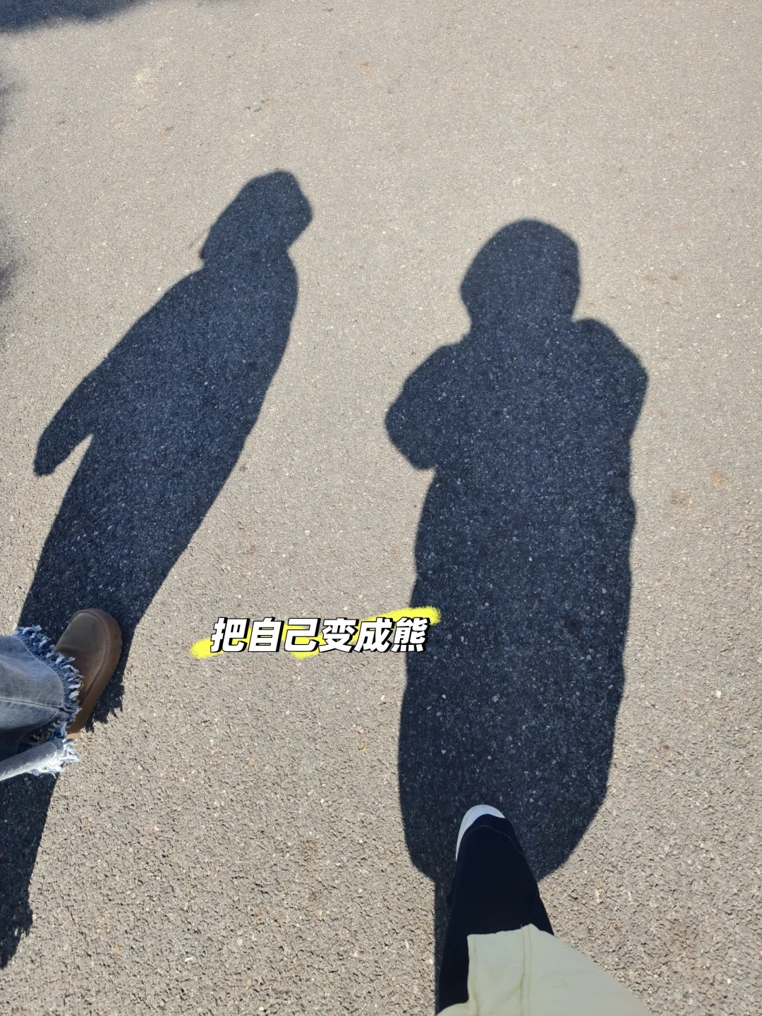 蛋挞脑袋请进～