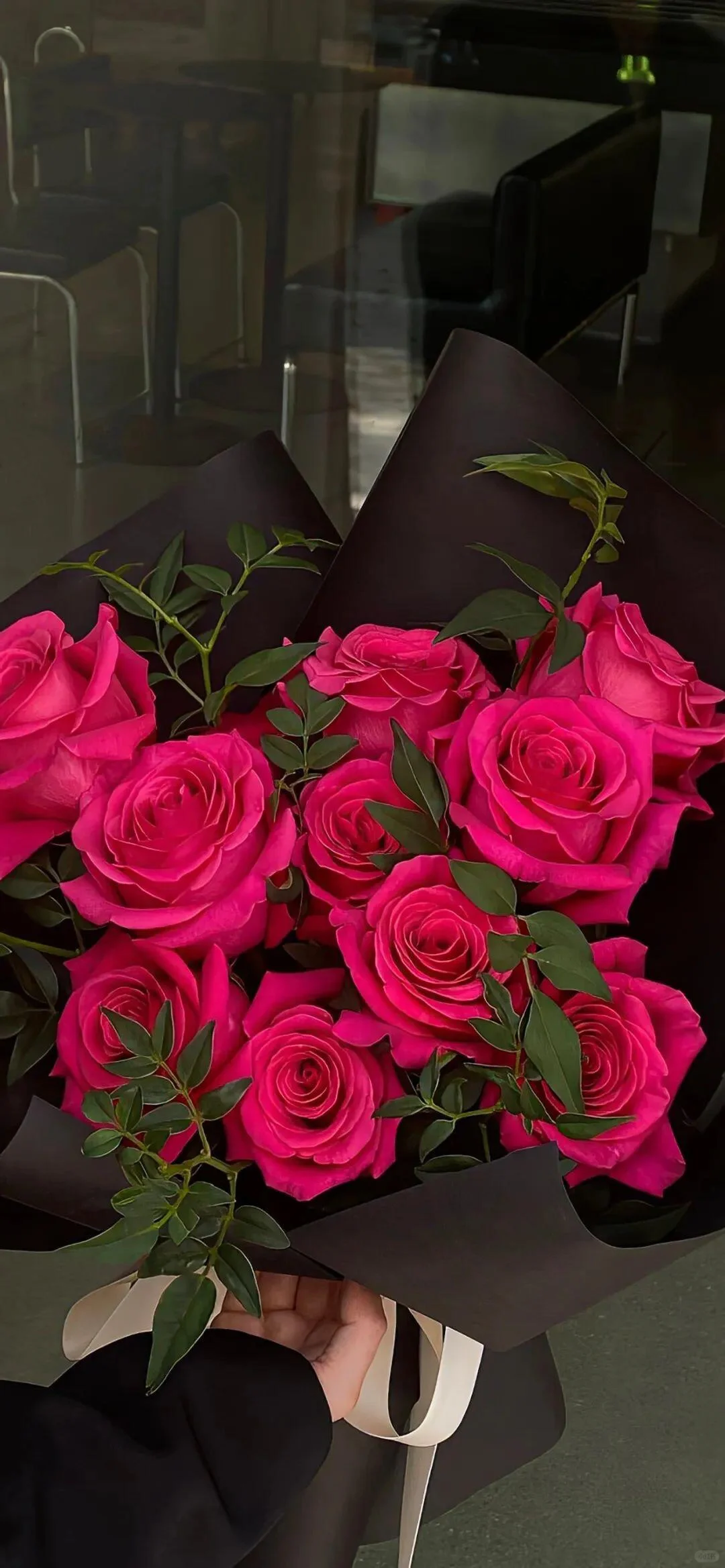 能量壁纸｜🌹如火夏日与娇艳的玫瑰更配哦🔥