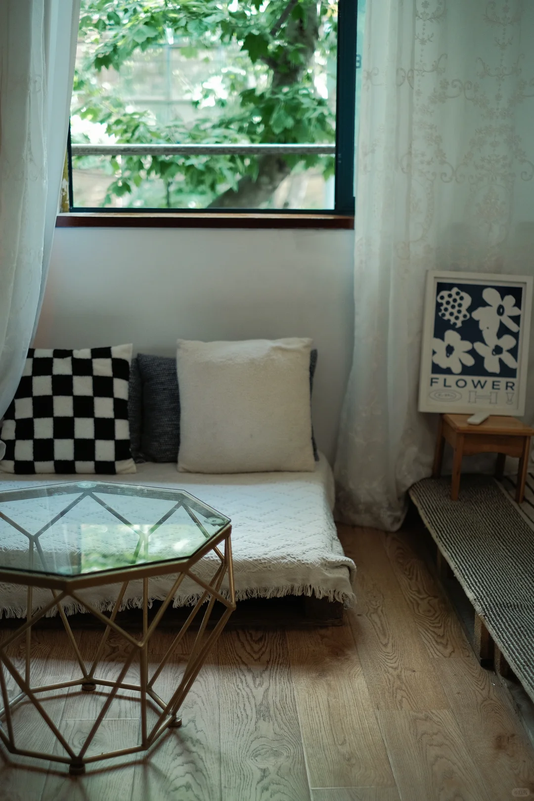 做我的猫 🐈｜上海轻私房写真