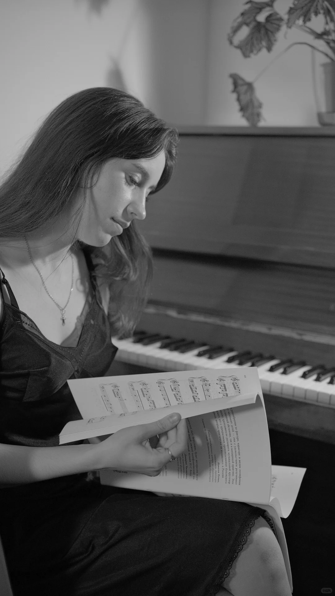 摄影 | 🖤🩶🤍