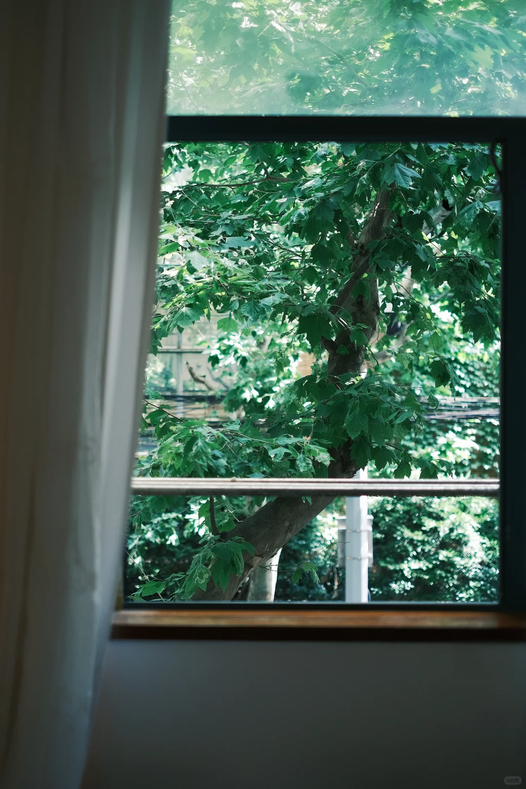 做我的猫 🐈｜上海轻私房写真