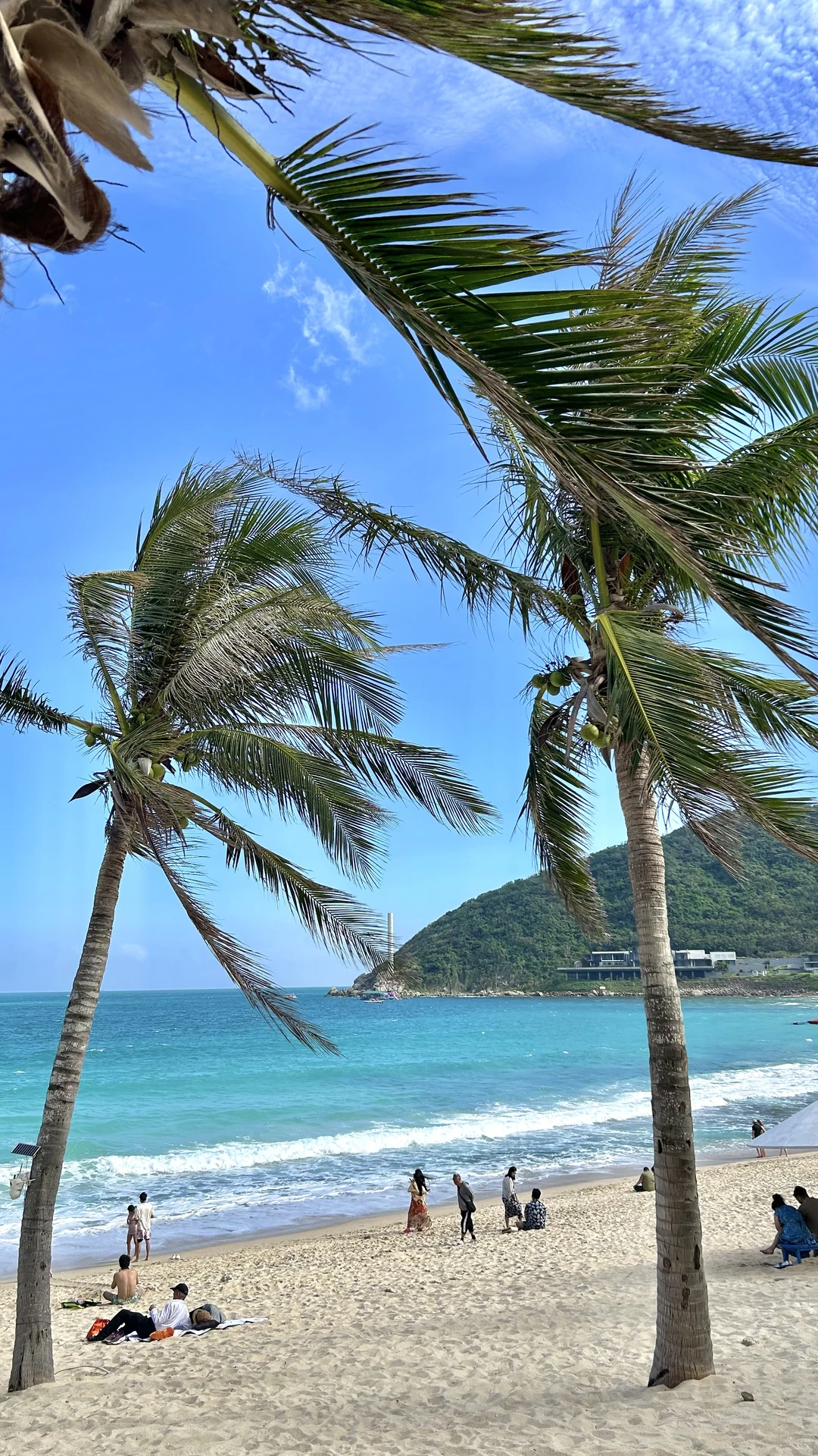 live｜三亚这片海美得不像在国内🌴☀️🌊