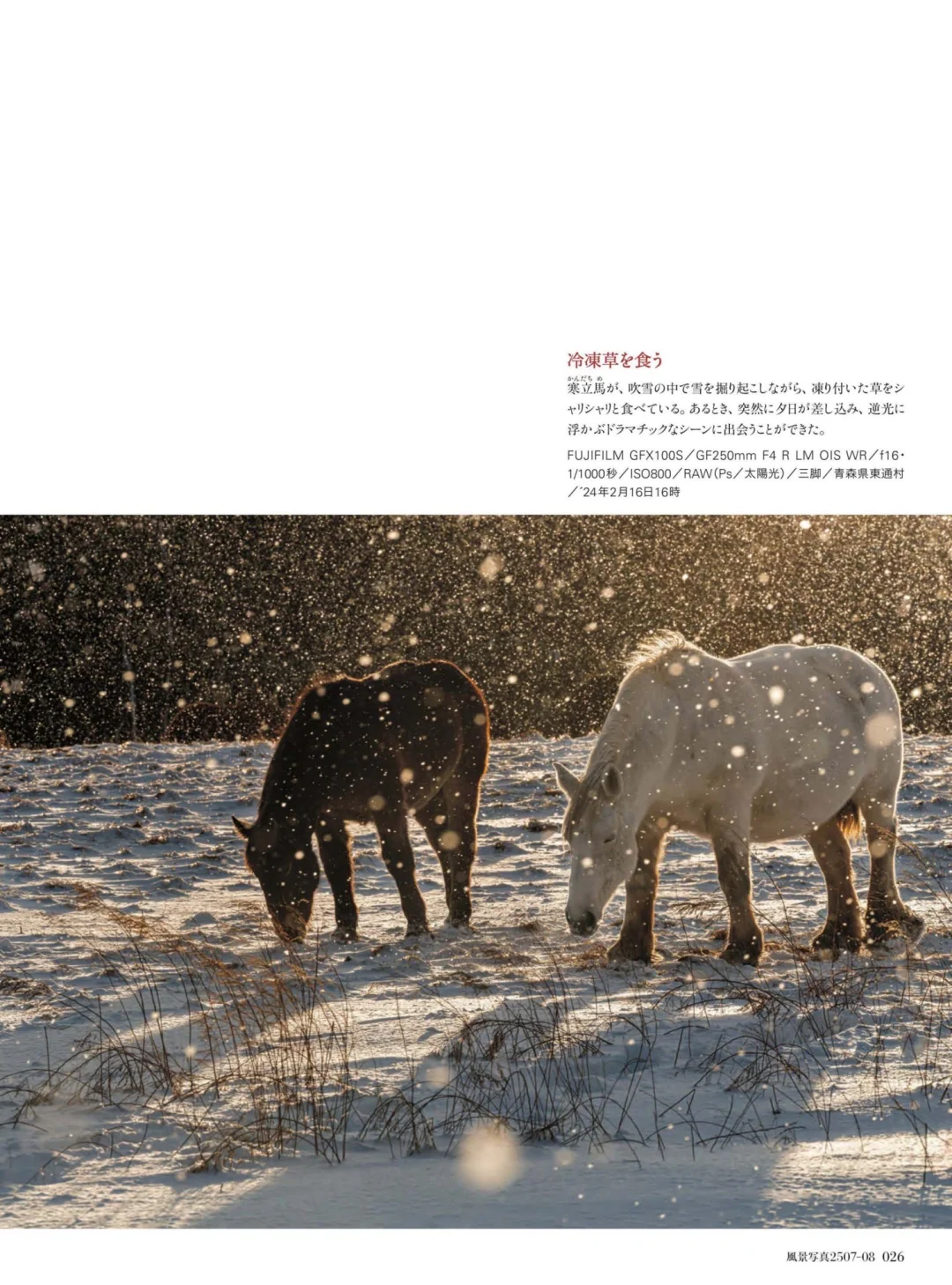 风景写真 25年7&8月刊