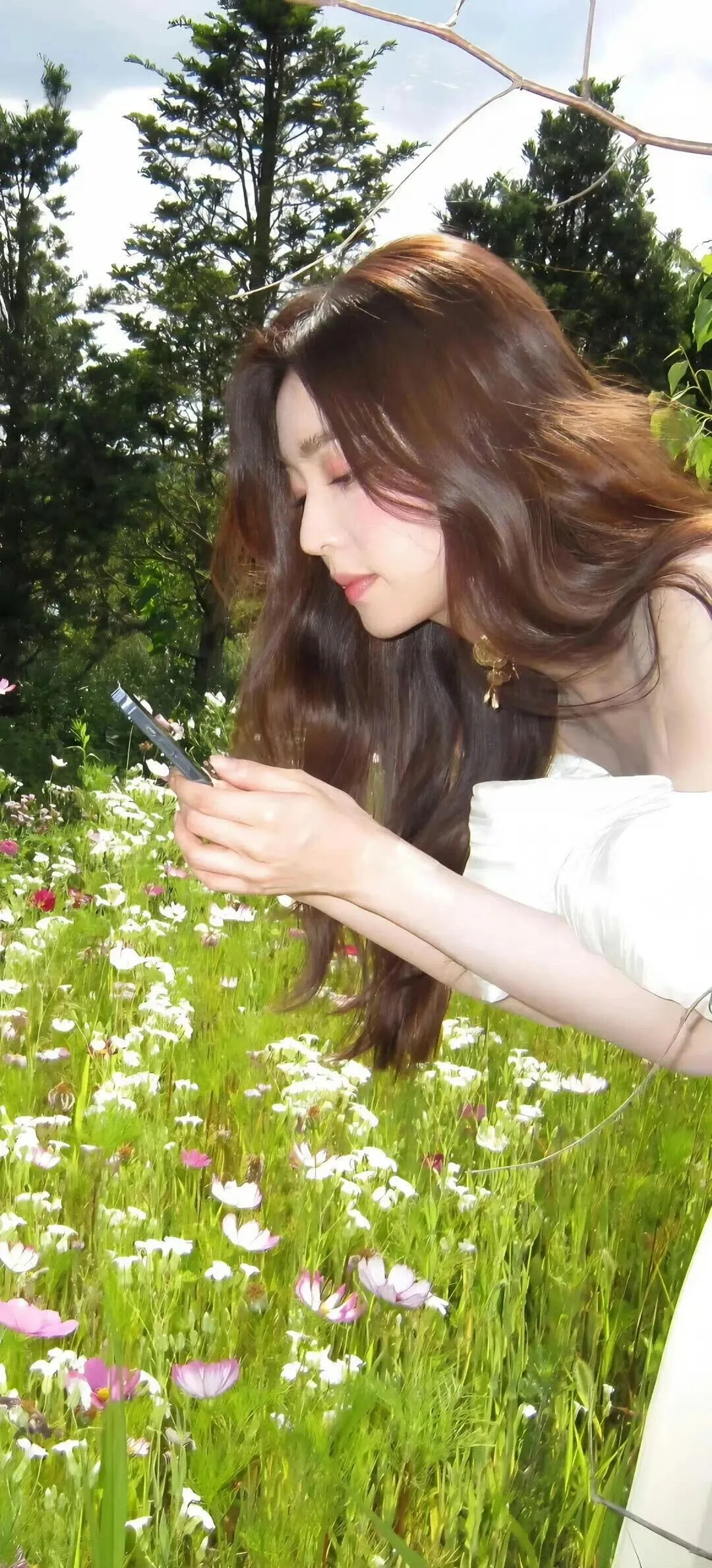 裴珠泫壁纸心动合集💫