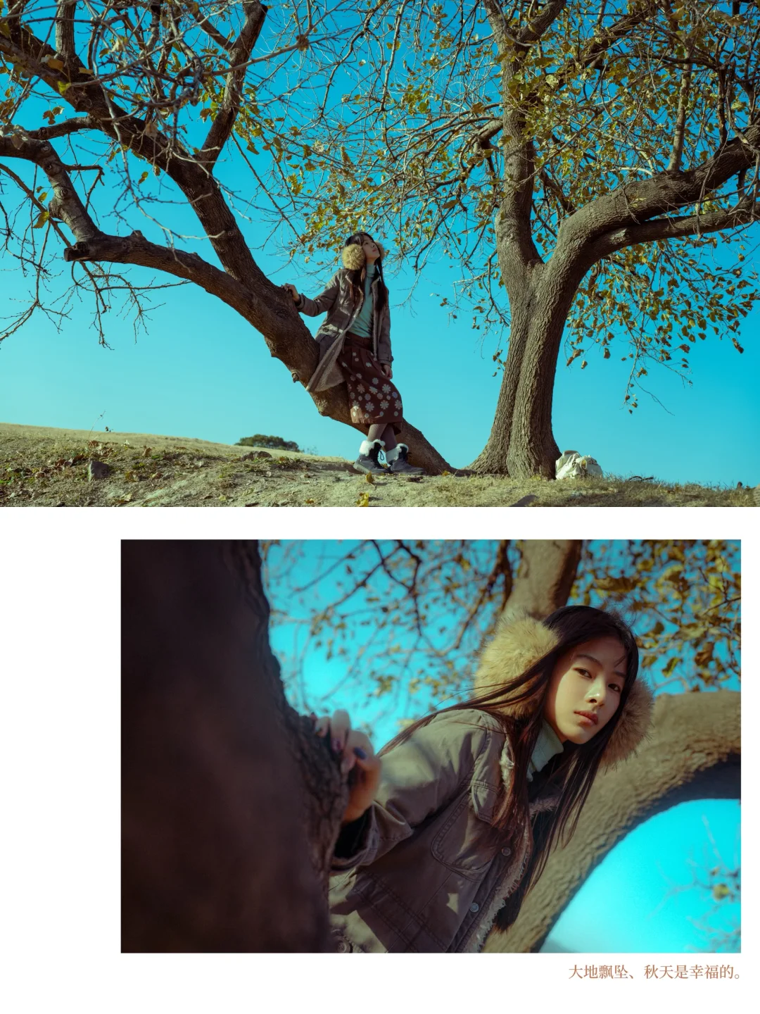 当我把照片按苍井优旅行写真排版