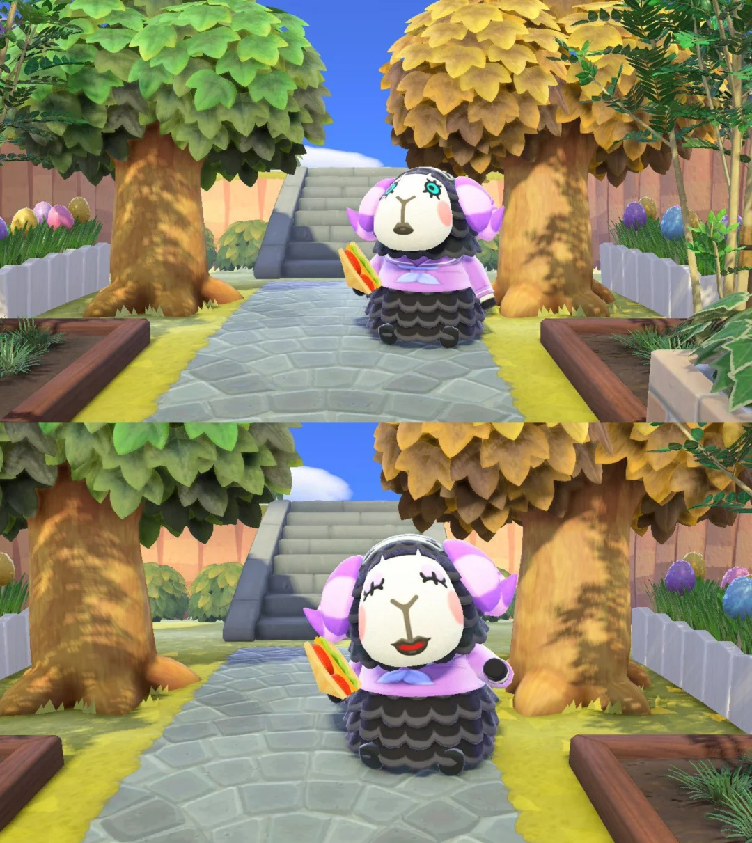 岛民合影✌︎' ֊'大概会是永久住民