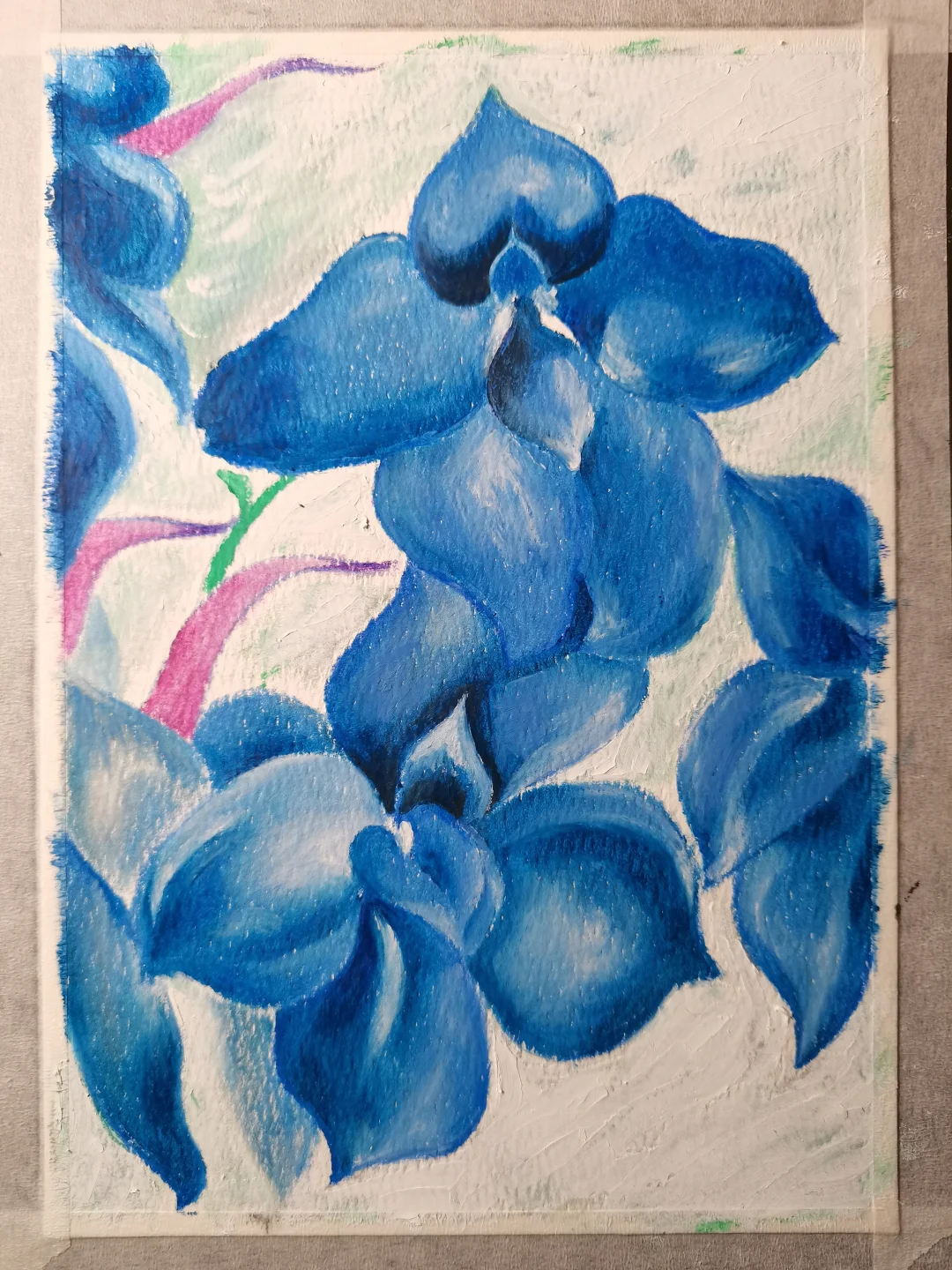 油画棒 | 娇艳蝴蝶兰