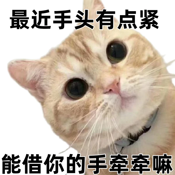 表情包丨句句不黄，句句很撩