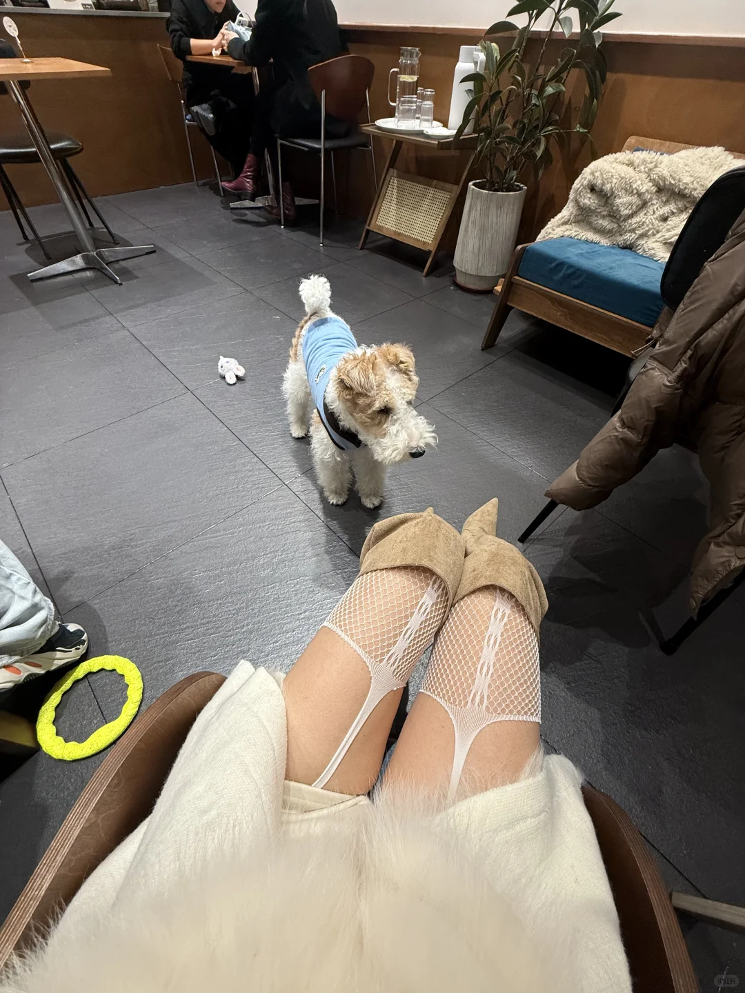 又到穿丝袜的季节