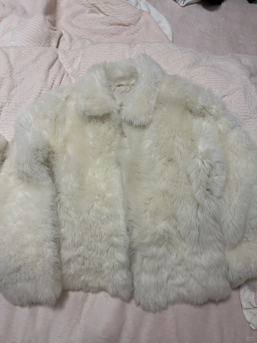 付智恩 冰岛铃音怎么选！！