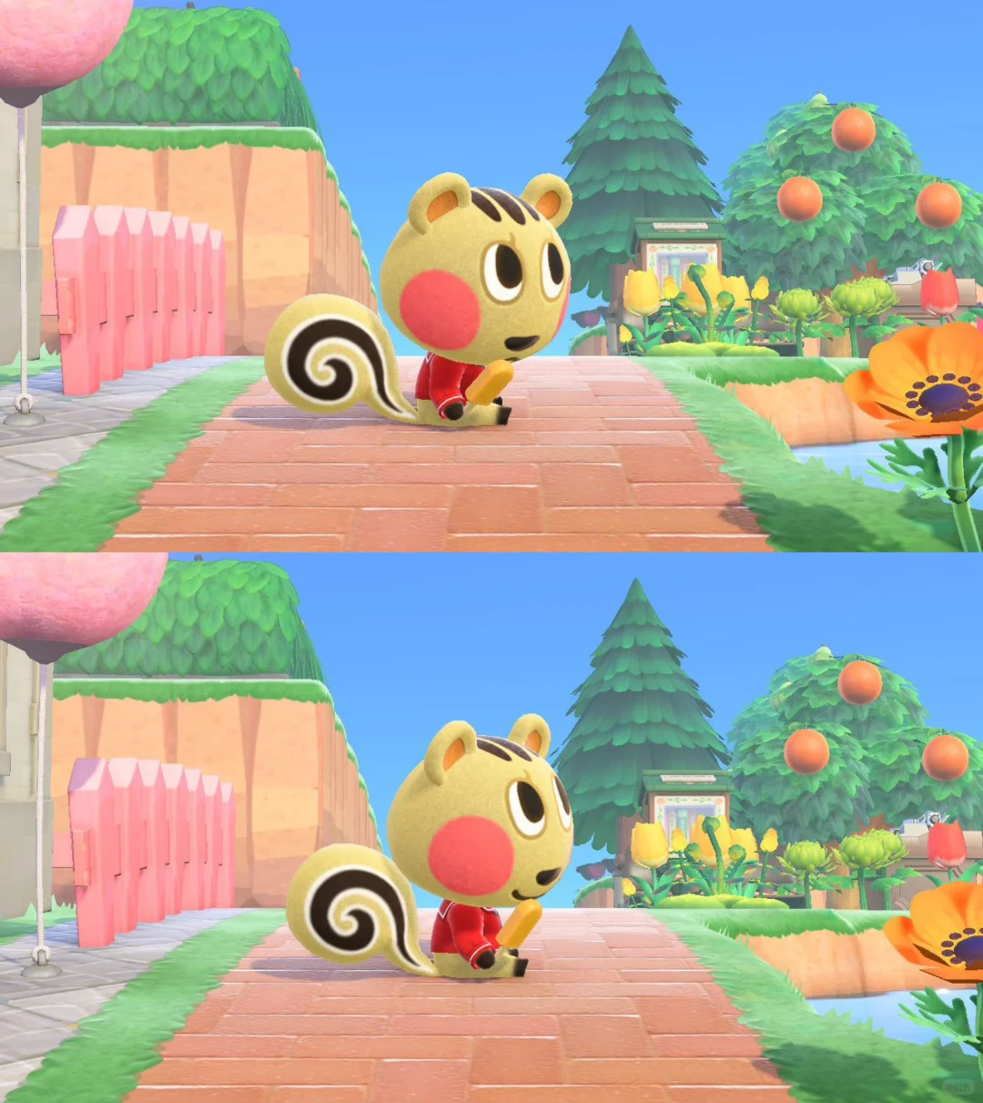 岛民合影✌︎' ֊'大概会是永久住民