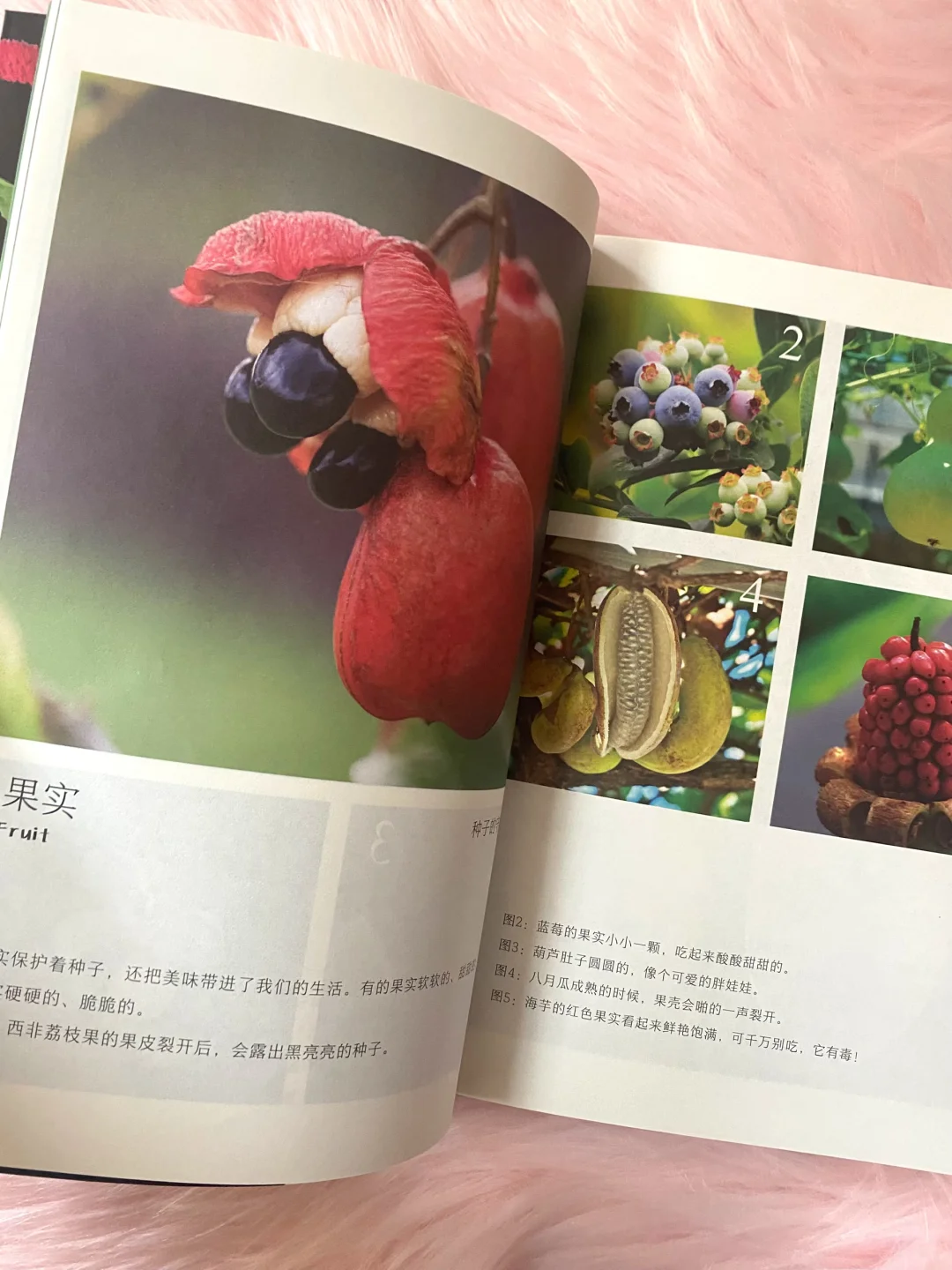 60w妈妈认可的作品续集，让孩子喜欢上科普！